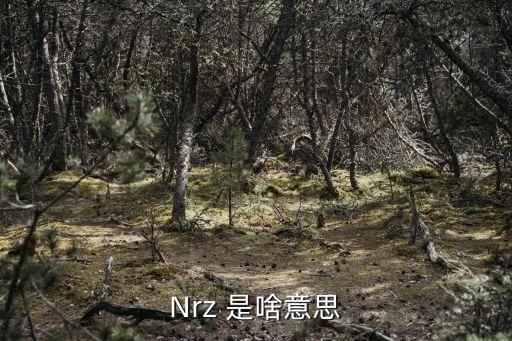 Nrz 是啥意思