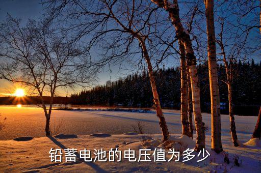 鉛酸電池電壓，鉛蓄電池的電壓是多少