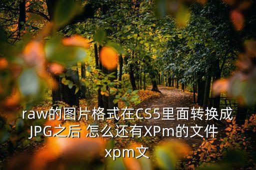 XPM，raw的圖片格式在CS5里面轉(zhuǎn)換成JPG之后 怎么還有XPm的文件 xpm文