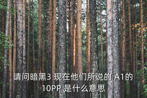 請問暗黑3 現(xiàn)在他們所說的 A1的10PP 是什么意思