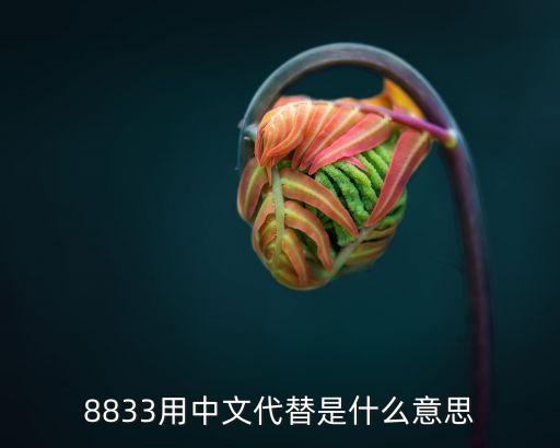 8833用中文代替是什么意思