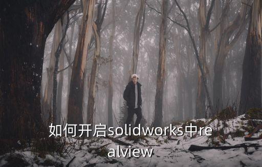 如何開啟solidworks中realview