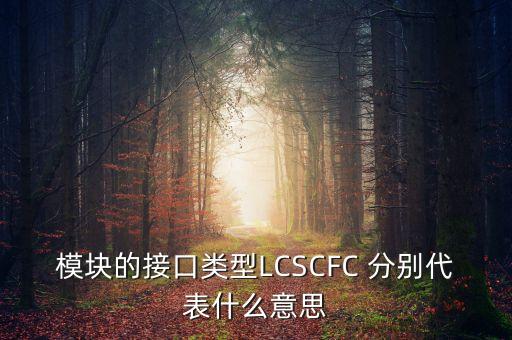 模塊的接口類型LCSCFC 分別代表什么意思