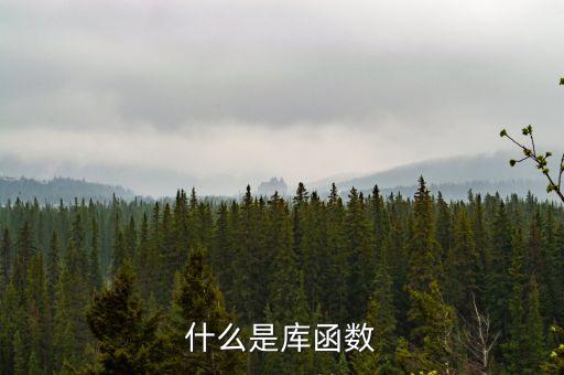 庫函數(shù)，什么是庫函數(shù)