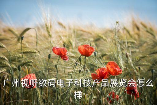 廣州視聽數(shù)碼電子科技產(chǎn)品展覽會(huì)怎么樣