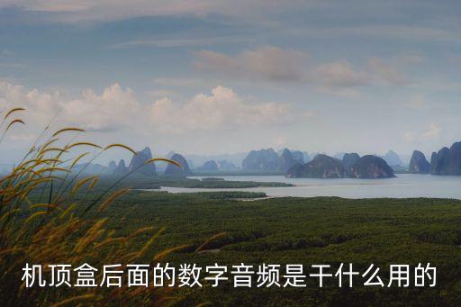 數(shù)字音頻，機頂盒后面的數(shù)字音頻是干什么用的