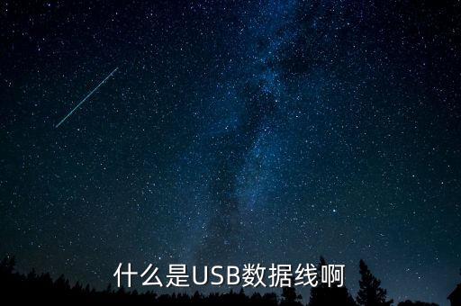什么是USB數(shù)據(jù)線啊