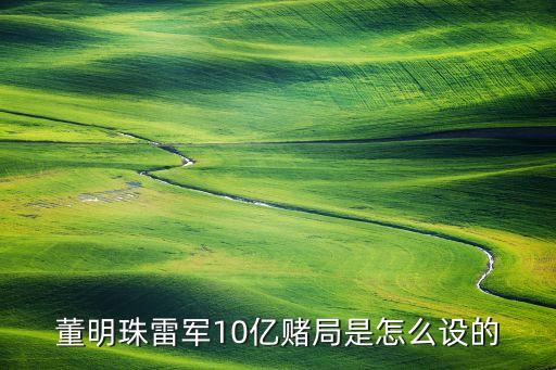 董明珠雷軍10億賭局是怎么設(shè)的