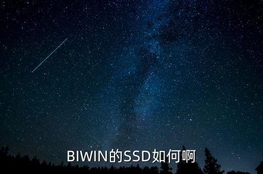BIWIN的SSD如何啊