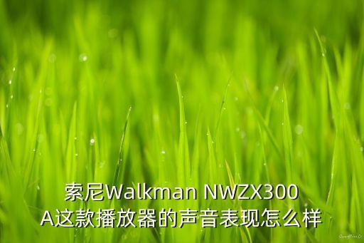 zx300a，如何評(píng)價(jià)索尼新出的NWZX300A