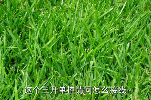 這個(gè)三開單控請問怎么接線