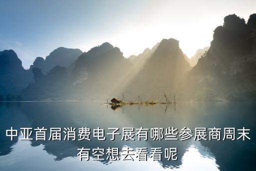 消費電子博覽會，中亞首屆消費電子展有哪些參展商周末有空想去看看呢