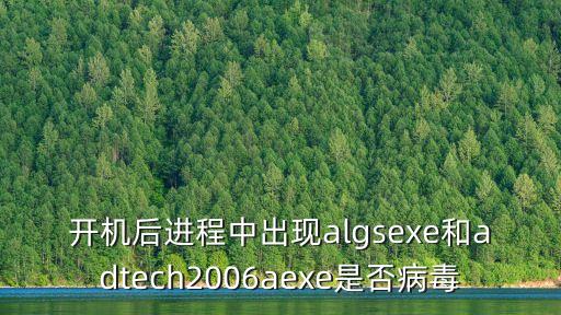 開機后進(jìn)程中出現(xiàn)algsexe和adtech2006aexe是否病毒