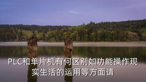 plc和單片機(jī)的區(qū)別，單片機(jī)跟plc怎么區(qū)分