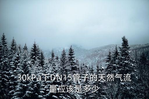 30kPa下DN15管子的天然氣流量應(yīng)該是多少