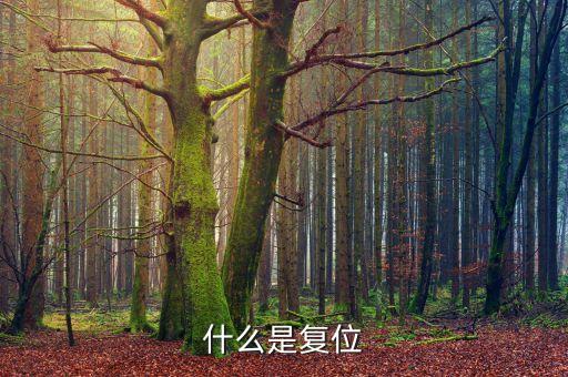 復(fù)位，復(fù)位是什么意思