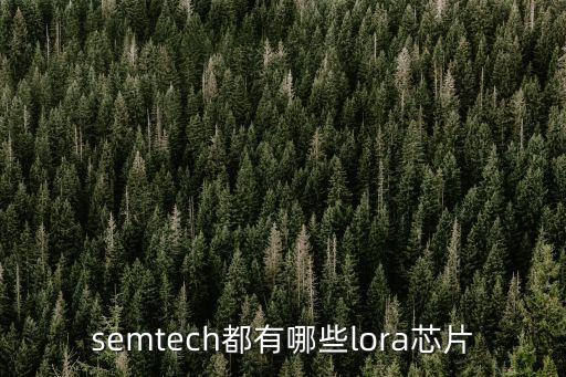 semtech都有哪些lora芯片