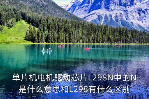 單片機(jī)電機(jī)驅(qū)動(dòng)芯片L298N中的N是什么意思和L298有什么區(qū)別