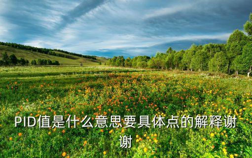 pid參數(shù)，PID參數(shù)是什么意思