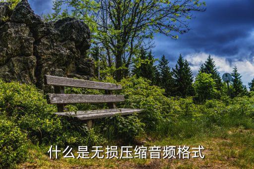 無損壓縮，什么是無損壓縮音頻格式