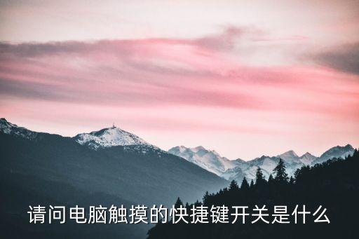 請(qǐng)問(wèn)電腦觸摸的快捷鍵開關(guān)是什么