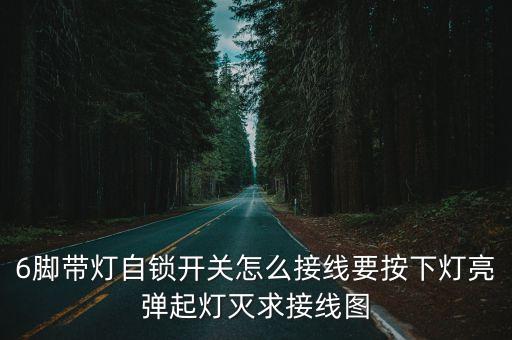 6腳帶燈自鎖開(kāi)關(guān)怎么接線要按下燈亮彈起燈滅求接線圖