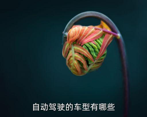 自動(dòng)駕駛的車型有哪些