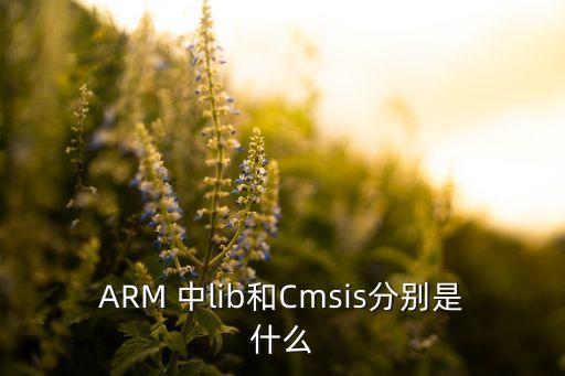 ARM 中l(wèi)ib和Cmsis分別是什么