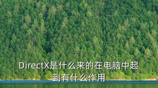 DirectX是什么來的在電腦中起到有什么作用