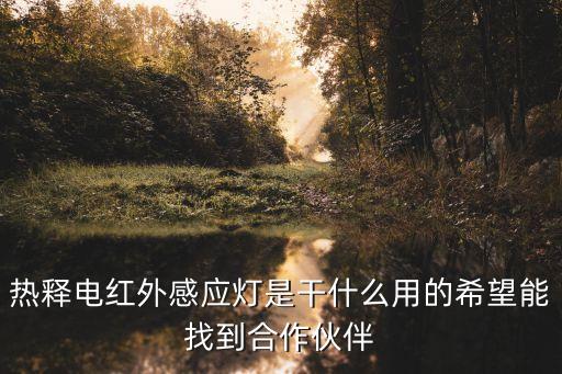 熱釋電紅外感應(yīng)燈是干什么用的希望能找到合作伙伴