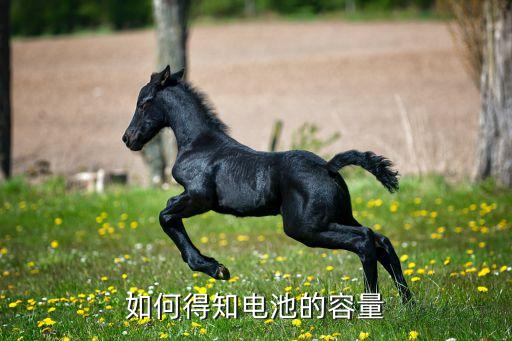 怎么測(cè)電池容量，如何檢測(cè)蓄電池容量