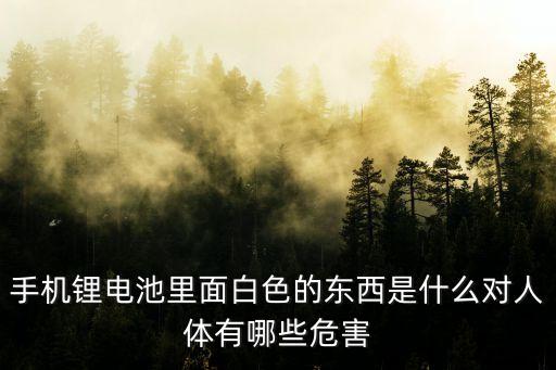 手機(jī)鋰電池里面白色的東西是什么對(duì)人體有哪些危害