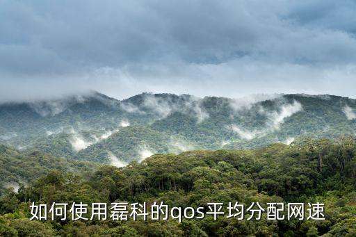 如何使用磊科的qos平均分配網(wǎng)速