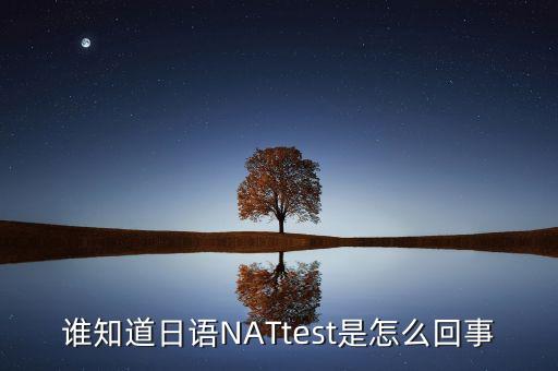 nat測試，有關(guān)日語NATTEST考試