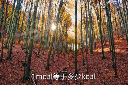 mcal，Mcalh是什么單位