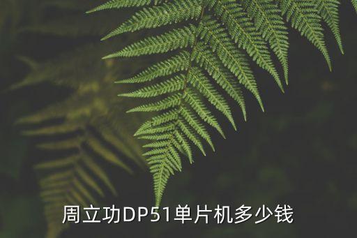 周立功DP51單片機(jī)多少錢