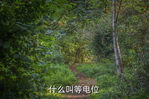 等電位，什么叫等電位