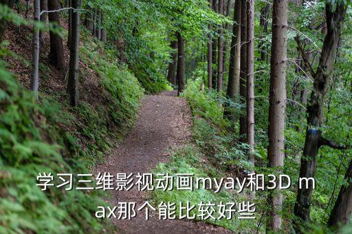 學習三維影視動畫myay和3D max那個能比較好些
