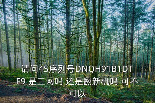 91b1，請(qǐng)問(wèn)4S序列號(hào)DNQH91B1DTF9 是三網(wǎng)嗎 還是翻新機(jī)嗎 可不可以