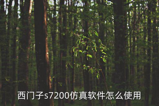 西門(mén)子s7200仿真軟件怎么使用