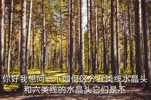 你好我想問一下如何區(qū)分五類線水晶頭和六類線的水晶頭它們是不