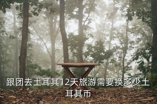 奇亞幣，消失的兇手這部影片的寓意