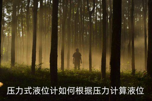 壓力式液位計(jì)如何根據(jù)壓力計(jì)算液位