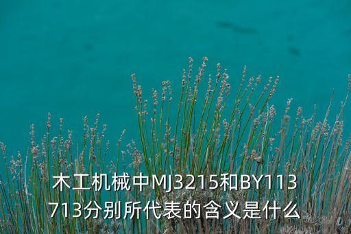 木工機械中MJ3215和BY113713分別所代表的含義是什么