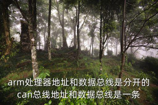 arm處理器地址和數(shù)據(jù)總線是分開的can總線地址和數(shù)據(jù)總線是一條