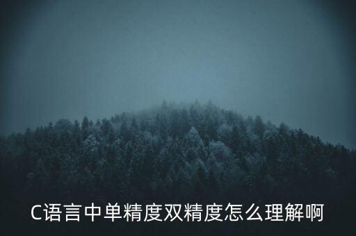 單精度，C語言中單精度雙精度怎么理解啊