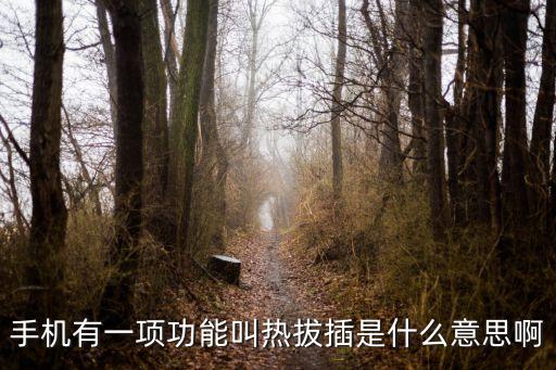 熱拔插，什么是熱插拔硬盤