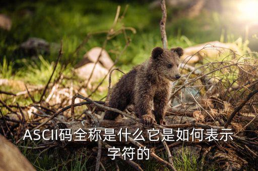 ASCII碼全稱是什么它是如何表示字符的