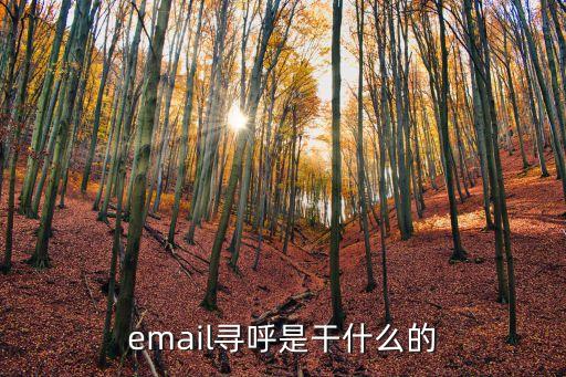 email尋呼是干什么的