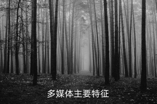 多媒體主要特征